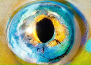 Фотография Завацкого Евгения