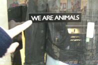 Фотография Смирнова Александра