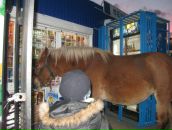 Фотография Павлова Артема