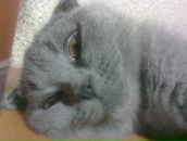 Зёбер Хе фотография #2 (источник - https://vk.com/id3613715)