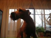 Фотография Скорятиной Татьяны