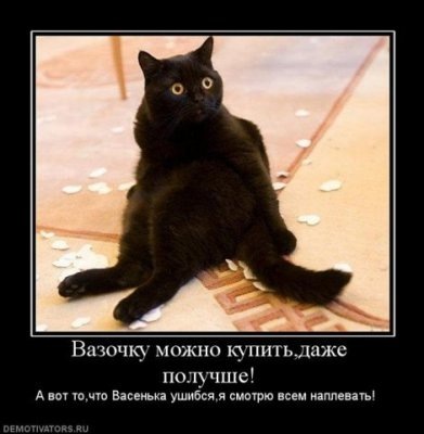 №7, Александр Назаркин №7, Александр Назаркин