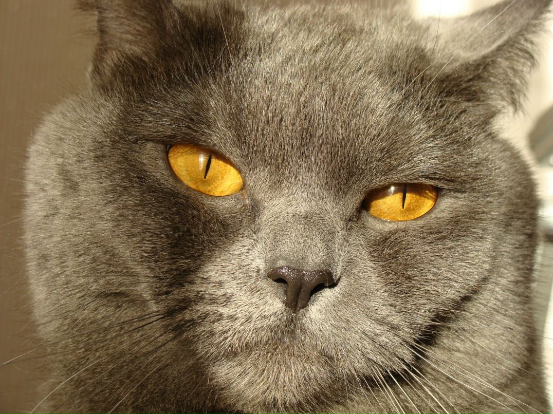 Игорь Соловьев фотография #35