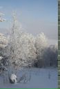 Лев Брылев фотография #31 (источник - https://vk.com/id2873841)