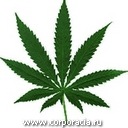 Фотография Андриевского Максима