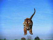 Ігор Майстришен фотография #4 (источник - https://vk.com/id74971513)