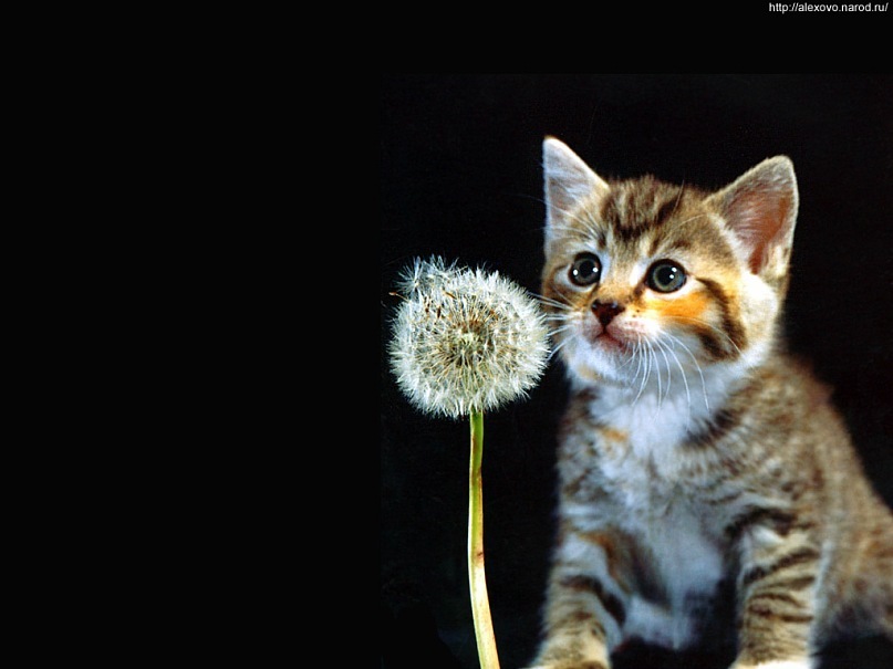 Рустам Бакеев фотография #5