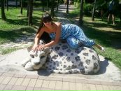 Фотография Шогенов Юрий