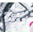 Марина Іванова фотография #10 (источник - https://vk.com/id85649679)