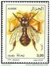 Братство Бджолярів фотография #48 (источник - https://vk.com/id131236971)