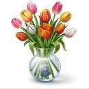 Анастасія Корилкевич фотография #7 (источник - https://vk.com/id149167115)