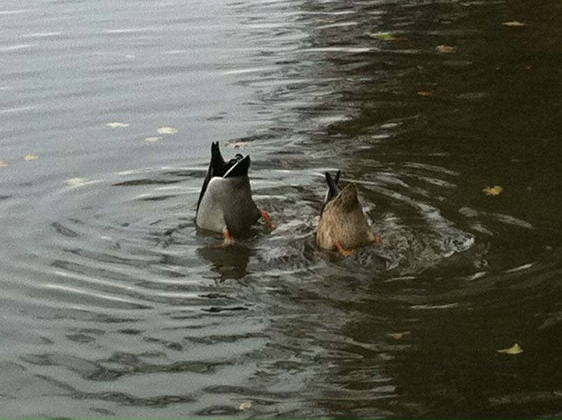 Андрей Узлов фотография #50