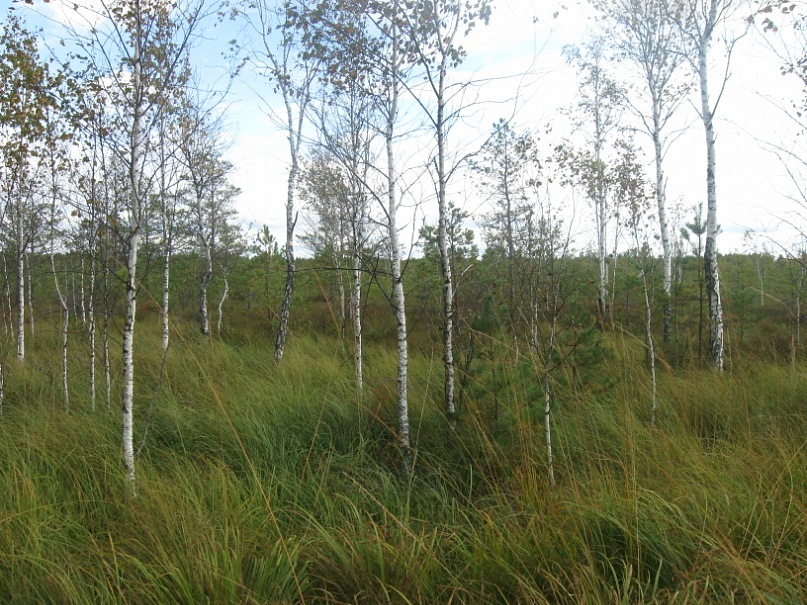 Евгений Станкевич фотография #12