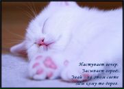Лідія Розуменко фотография #50 (источник - https://vk.com/id31752967)