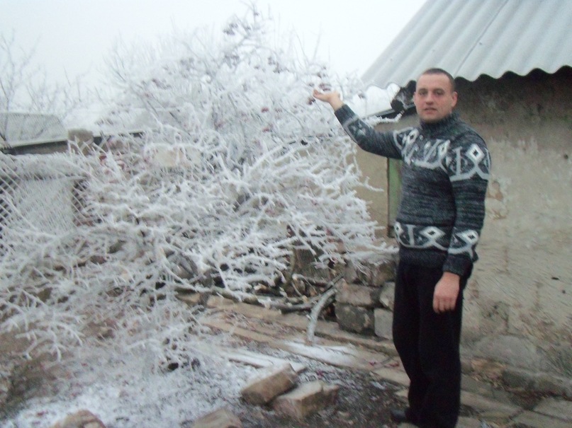 Дмитрий Старусев фотография #48