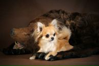 Фотография Зернин Юрий