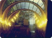 Дмитрий Додон фотография #38 (источник - https://vk.com/id1244633)