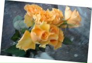 Фотография Семёновой Анны