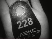 Фотография Малухиной Натальи