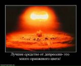 Фотография Товаркова Дарья