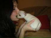 Фотография Родионовой Анастасии