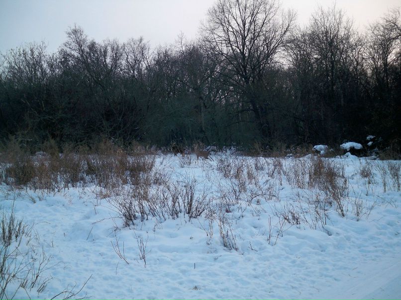 Витёк З@в@цких фотография #5