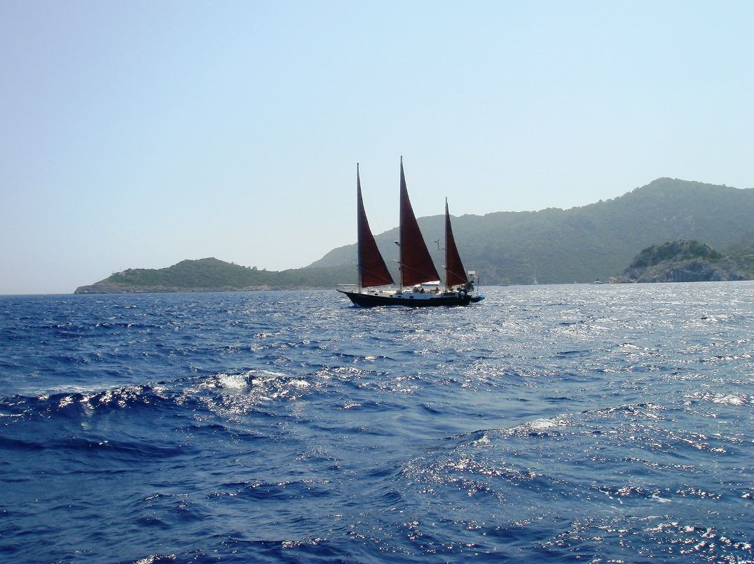 Сергей Усачев фотография #4