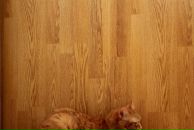 Фотография Кравченко Ирины