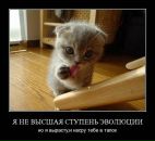 Фотография Маурера Артура