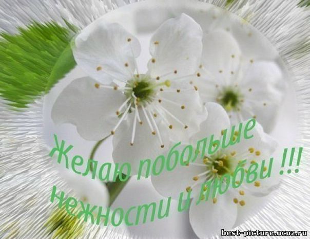 №17, Ирина Фирсова, 47 лет, Москва №17, Ирина Фирсова, 47 лет, Москва