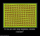 Юрій Бідненко фотография #44 (источник - https://vk.com/id151010759)