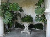 Артём Павеличев фотография #25 (источник - https://vk.com/id72030549)