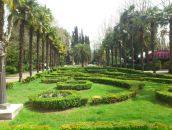 Иван Волков фотография #27 (источник - https://vk.com/id9457465)