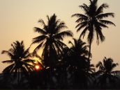 Tanja Kiseleva фотография #42 (источник - https://vk.com/id233849)