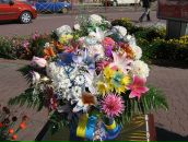 Ліля Когут фотография #22 (источник - https://vk.com/id71418373)