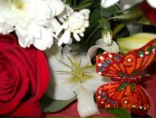 Фотография Кирсановой Светланы