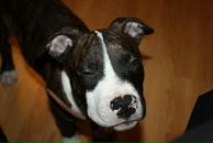 Фотография Волкова Александра