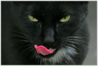 Фотография Стуковой Ирины