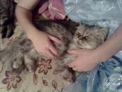 Діма Білет фотография #45 (источник - https://vk.com/id42002144)