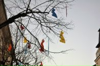 Anton Vorobyev фотография #10 (источник - https://vk.com/id428673)