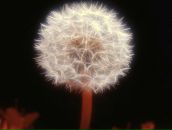 Фотография Гуриковой Екатерины