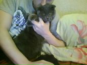 Фотография Неизвестного Артема