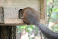 Антон Шумаков фотография #37 (источник - https://vk.com/id2967216)