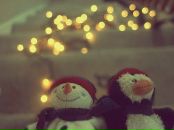 Фотография Максименко Ани