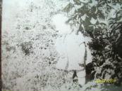Фотография Наугольновой Дарьи