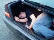 Фотография Степановича Григория