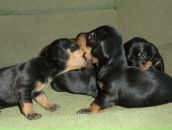 Фотография Петровой Ольги