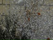 Віталіна Лисяк фотография #43 (источник - https://vk.com/id69467160)