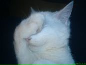 Фотография Командировой Екатерины