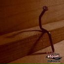 Фотография Коваленко Ивана